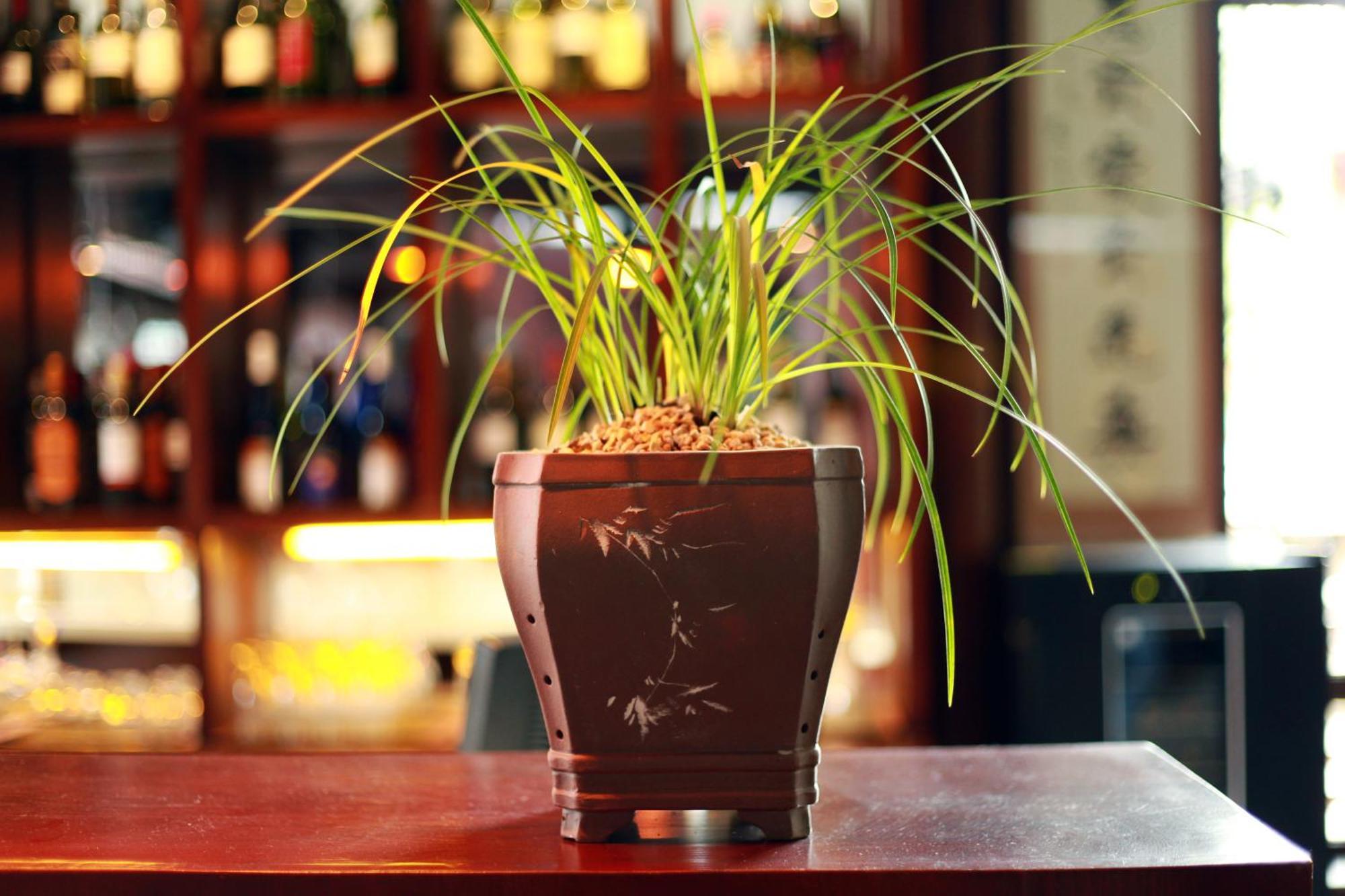 ליג'יאנג Jun Bo Xuan Boutique Hotel מראה חיצוני תמונה